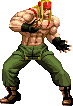 NAME:Alex FROM:Street Fighter III