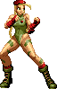 NAME:Cammy FROM:Super Street Fighter II
