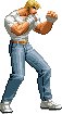 NAME:Cody FROM:Final Fight