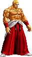 NAME: Geese Howard FROM:Fatal Fury 2