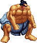 NAME:E. Honda FROM:Street Fighter II