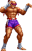 NAME:Hwa Jai FROM:Fatal Fury