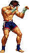 NAME:Joe Higashi FROM:Fatal Fury