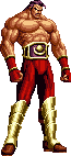 NAME:Wolfgang Krauser FROM:Fatal Fury