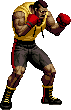 NAME:Michael Max FROM:Fatal Fury
