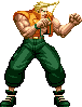 NAME:Nash FROM:Street Fighter Zero