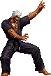 NAME:Ryo Sakazaki FROM:King of Fighters-Maximum Impact