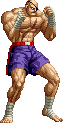 NAME:Sagat FROM:Street Fighter II